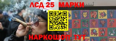 индика Кинель