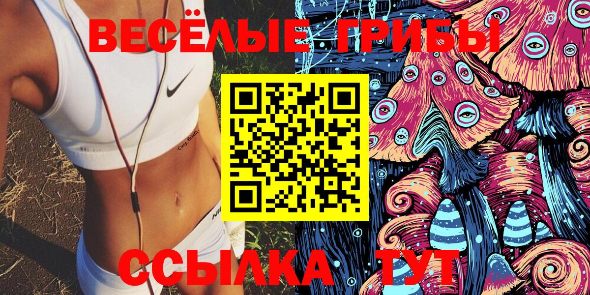 Псилоцибиновые грибы GOLDEN TEACHER Махачкала