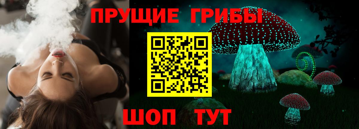 Махачкала  Галлюциногенные грибы Magic Shrooms  Вход с VPN 